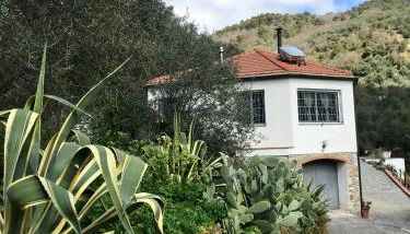 Casa Mediterraneo - Foto 2, Garden