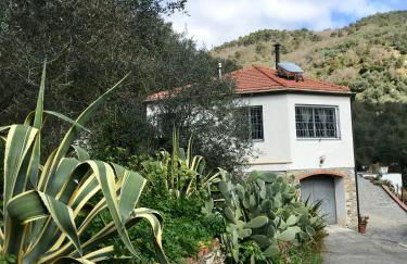 Casa Mediterraneo - Foto 2