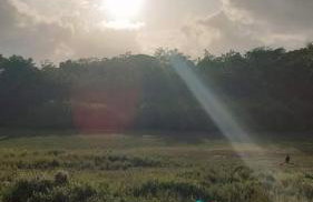 Chalé Maison Blanche - Foto 5