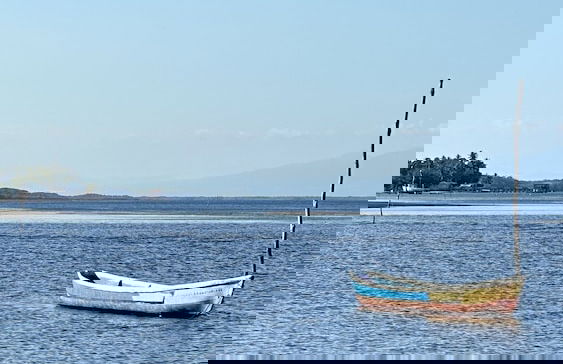 Paradise Bay - Foto 41