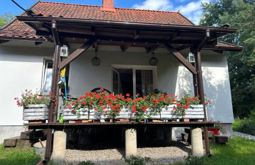 Dom pod Aniołem - Foto 54