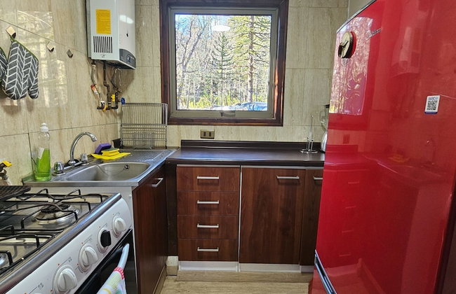 Oceana Suites Corralco - Photo 15