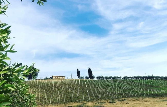 B&B Azienda Perconti - Foto 47