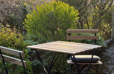 Ferienwohnung Kurpark Brilon am Rothaarsteig - Foto 3