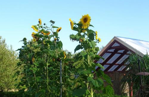 Harms, Ferienwohnung - Foto 19