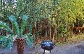 2BDR Victorian District Walk to Forsyth Park! - Foto 8