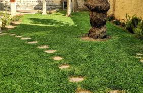 Hello Piles Beach Sofia - Foto 36