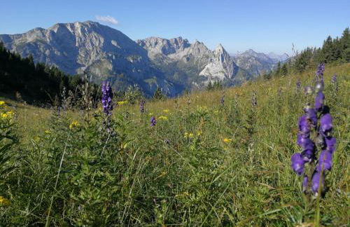 Landhaus im Allgäu - Foto 36