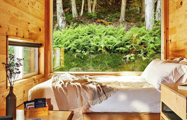 Postcard Cabins Wild Rose, Outdoor Collection by Marriott Bonvoy - Foto 5