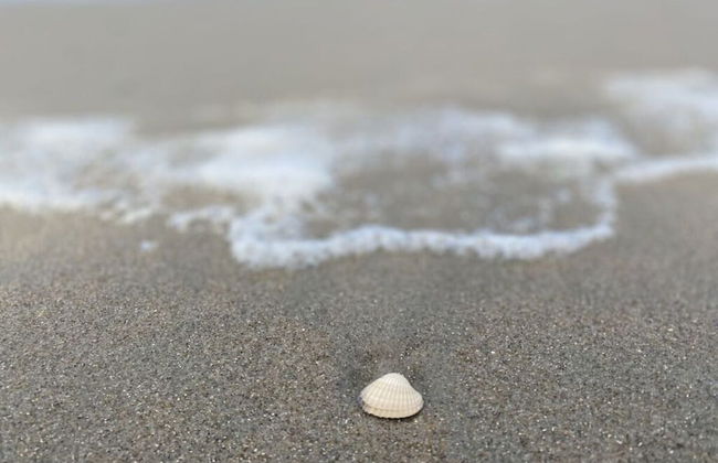 Holiday Home Ella by the Lake - Foto 16