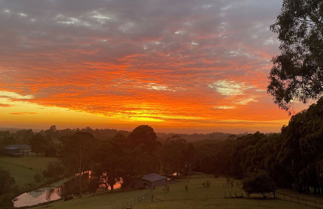 Blueberry Hills on Comleroy - Photo 50