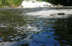 Agroturystyka RANCZO na Mazurach - Foto 60