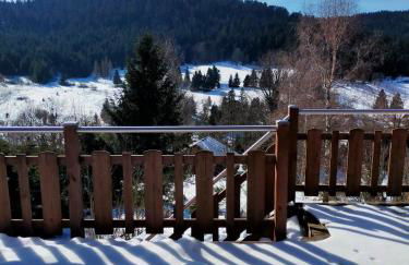 Chalet avec superbe vue dégagée - 10 min de Gérardmer - Foto 33