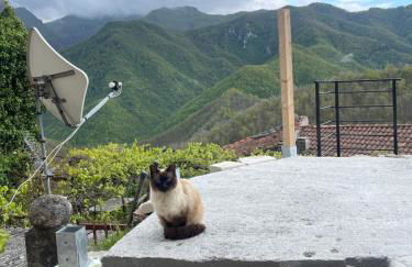 la casa del calicanto - Foto 40