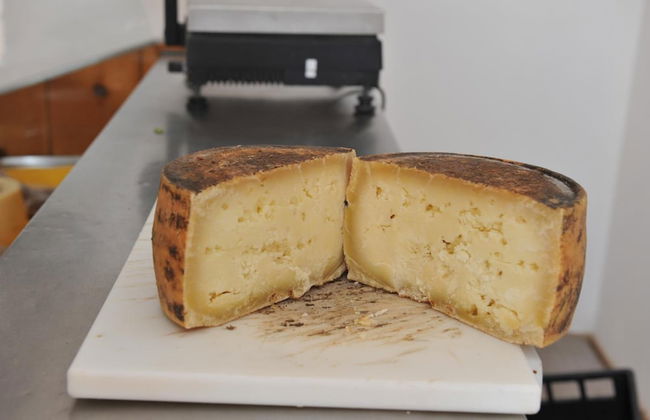 Agriturismo Finagliosu - Photo 51