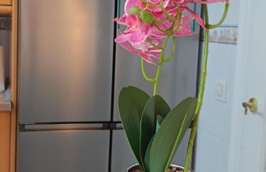 Dúplex JUNI - Foto 11