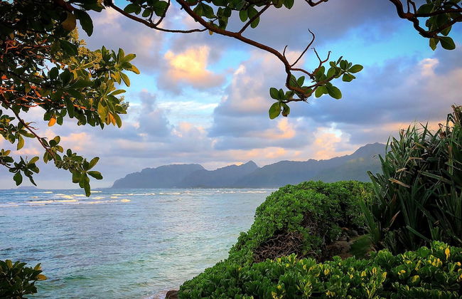 Tiki Moon Villas - Foto 64