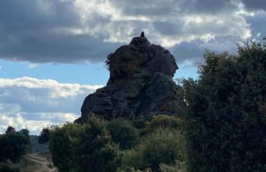 El Abigero - Foto 13