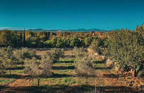 Blue Door Mallorca - Foto 17