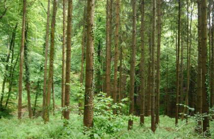 Haus Sonnengruß - Foto 37