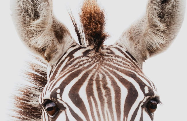 Blue Hills Ranch - Foto 75