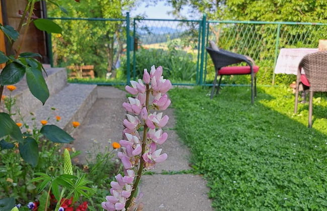 Kokotova Hiža - Foto 30