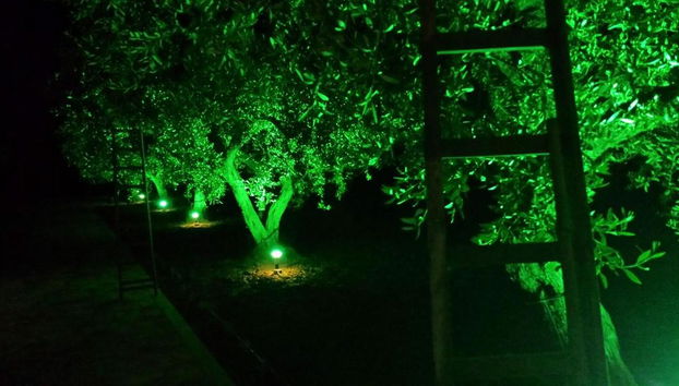 Agrisicilia - Foto 3