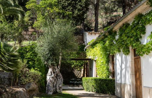 Alfabia Nou Agroturismo - Foto 26