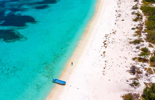 Bahía de las Águilas Speedboat Tour - Photo 6