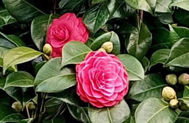 Casa da Laura - Um refúgio na Serra da Estrela - Foto 50