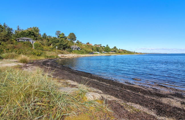 "Elissa" - 50m to the fjord - Foto 5