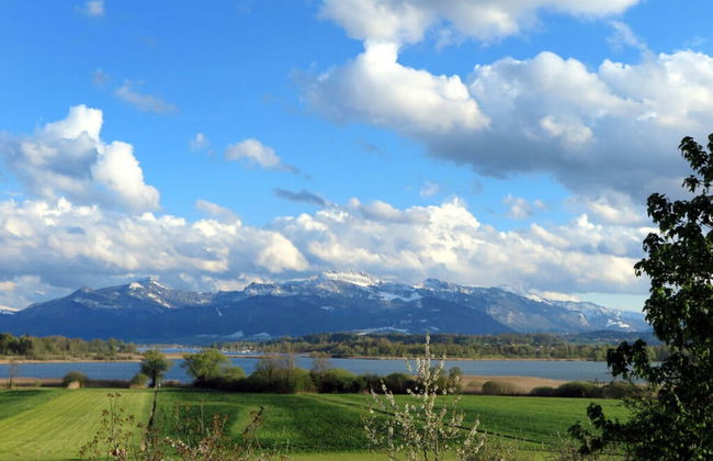 Dennenboomdroom - Photo 14