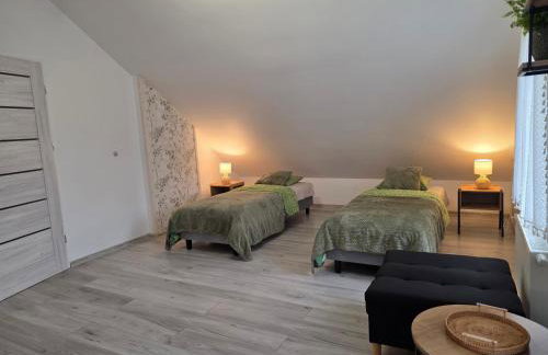 Komfortowy Dom Całoroczny - sauna, jacuzzi, bilard - Foto 21