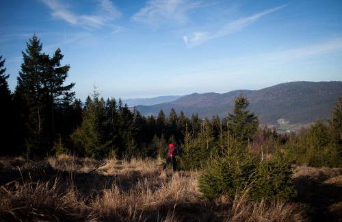 Sixt Martina - Foto 10