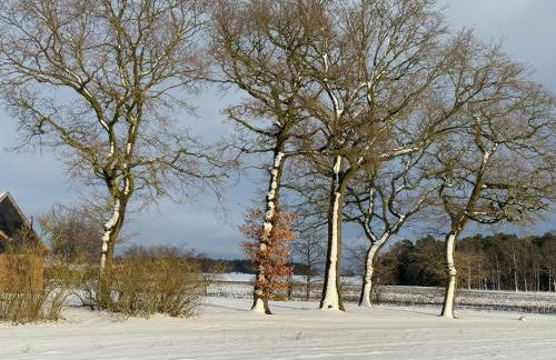 Ferienhaus Landruhe - Foto 35