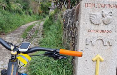 VillaVitoria - Foto 21