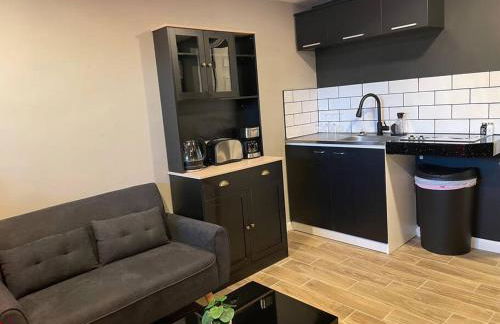 New Midtown Modern Studio With Backyard (Unit B) - Foto 16