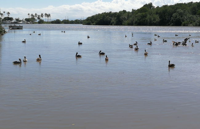 Casa Lilu - Adults Only - Foto 36