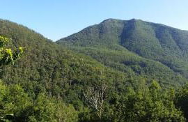 CASA MUNIELLOS - Foto 34