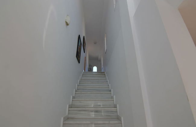 Mirador de Doñana - Photo 13