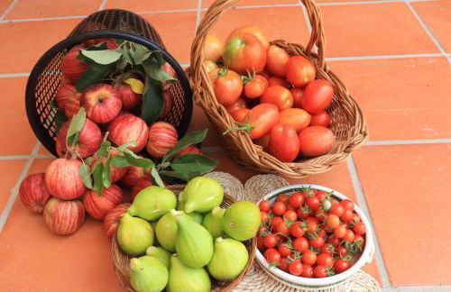 Casa do Alambique - Foto 37