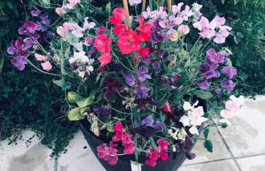 Top of the House - Photo 20