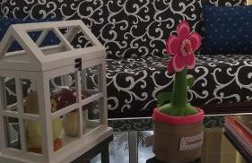 Da Martina - Foto 12