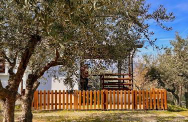 oasi macerina - Foto 44