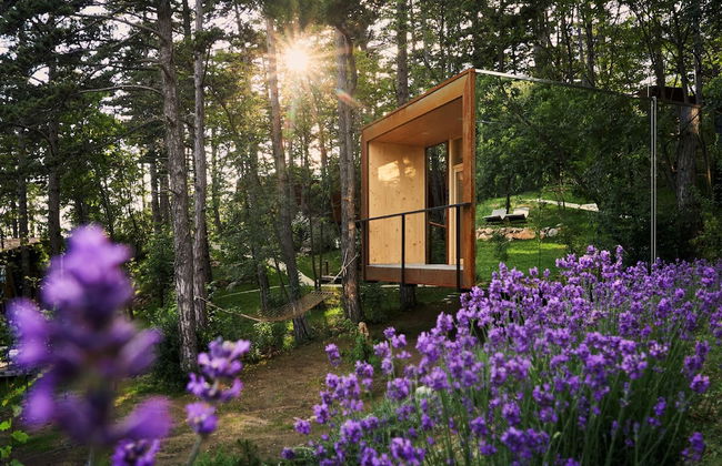 Theodosius forest village Vipava - Foto 1