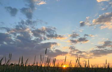 Ferienhaus Kristina Steinmetz - Photo 3