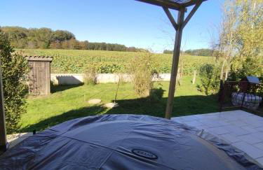 Ancienne maison du garde barrière,spa, billard proche zoo Beauval, château de la Loire - Foto 2