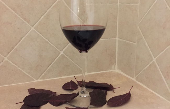 Agriturismo Podere Casa al Vento - Photo 24