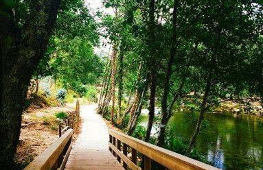 Quinta da Aranha - Foto 56