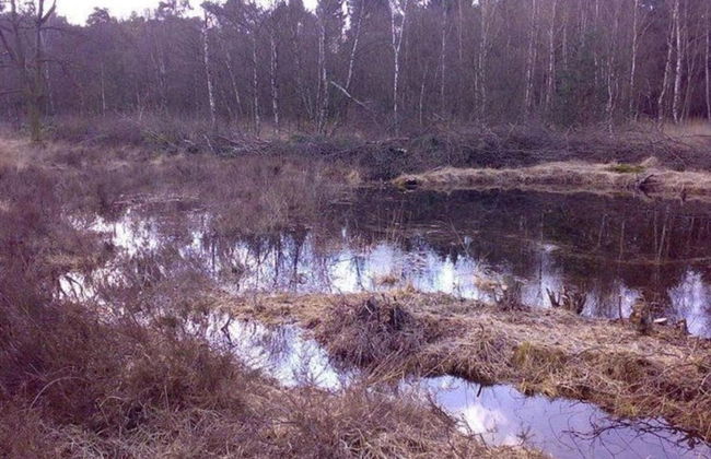 Chalet in Sandberghe With Sunny Terrace - Photo 20